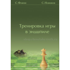 Фокин С. Новиков С. Тренировка игры в эндшпиле. в Нижний Новгород